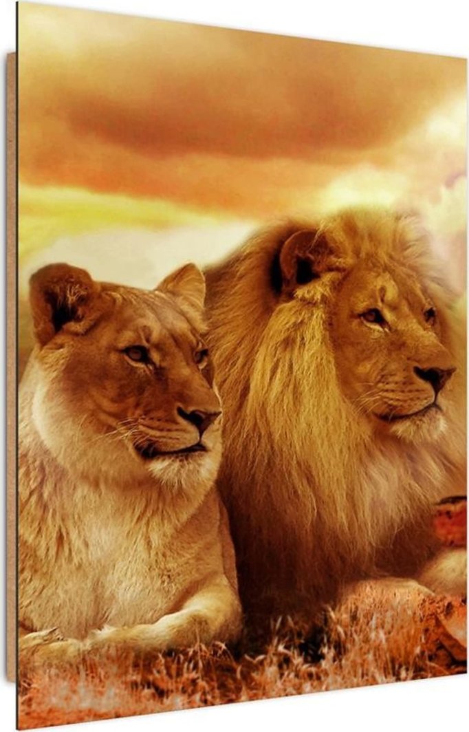 Feeby Obraz Deco Panel, Król lew i lwica (Rozmiar 70x100) 1