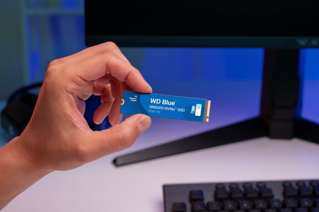 WD Blue SN5000 1TB M.2 2280 PCI-E x4 Gen4 NVMe (WDS100T4B0E