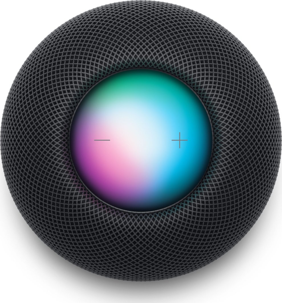 レナード　AppleHomePodmini Apple Homepod Mini Space Gray - Opinie i ceny na Ceneo.pl