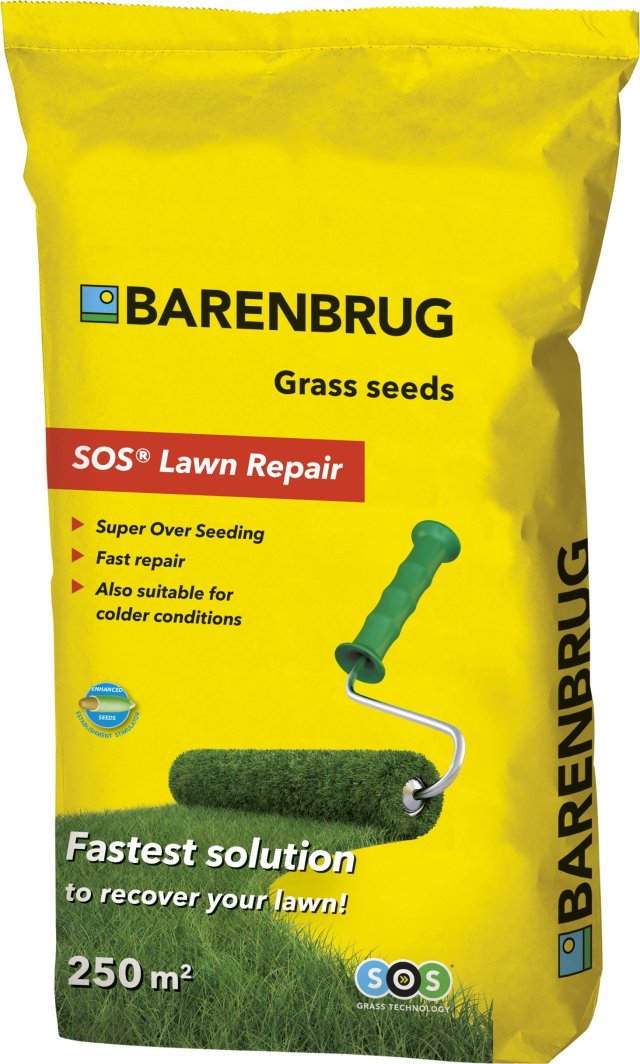 Barenbrug Mieszanka traw Barenbrug SOS reganeracyjna 5KG 1