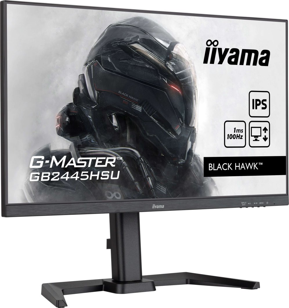 Hawk G2530hsu Iiyama Black Hawk 24 Iiyama 24,5