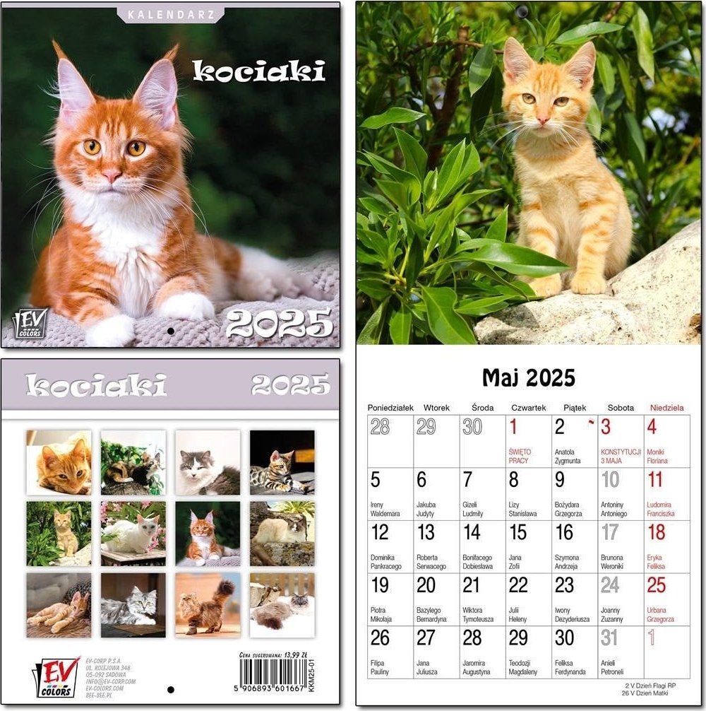 Kalendarz 2025 dla dzieci 16x32 13 plansz Kociaki 1