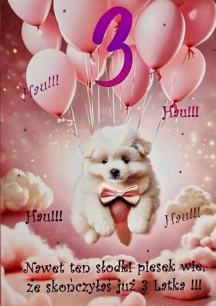 Karnet Urodziny 3 3K 1