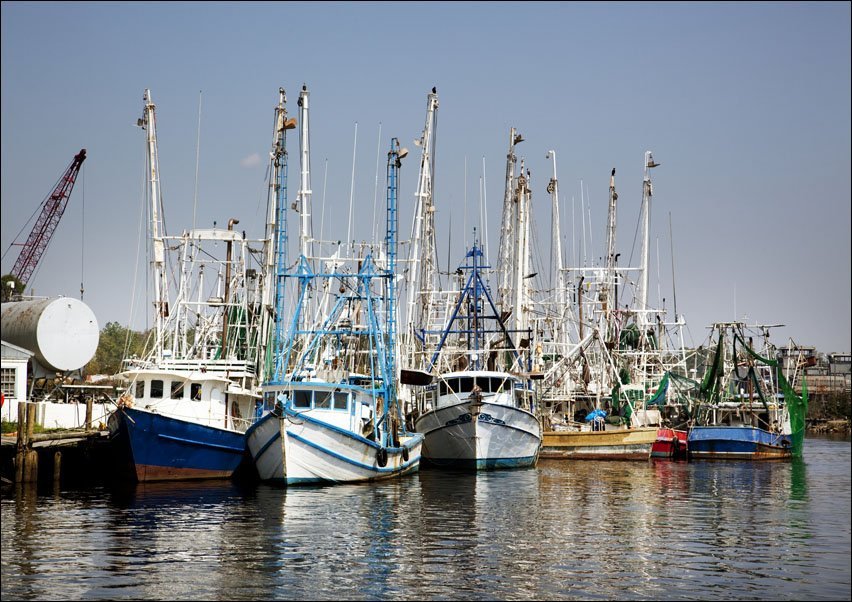 galeria plakatu Bayou La Batre is a fishing village with a seafood-processing harbor for fishing boats and shrimp boats., Carol Highsmith - plakat 29,7x21 cm 1