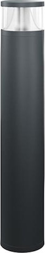 ESYLUX LED bollard light ALVABL940#EL10820205 3000K Anth DALI ALVA;ALVA BL path light 4015120820205 1