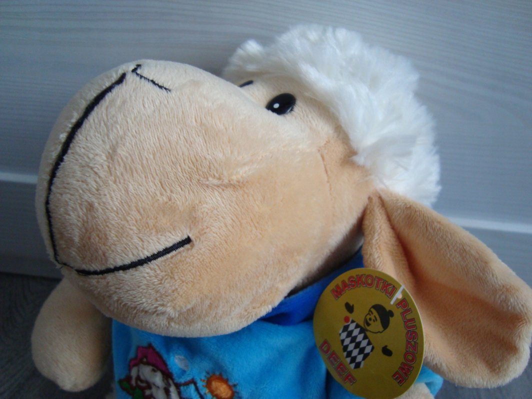 Owieczka w koszulce duża CHT03170 31701