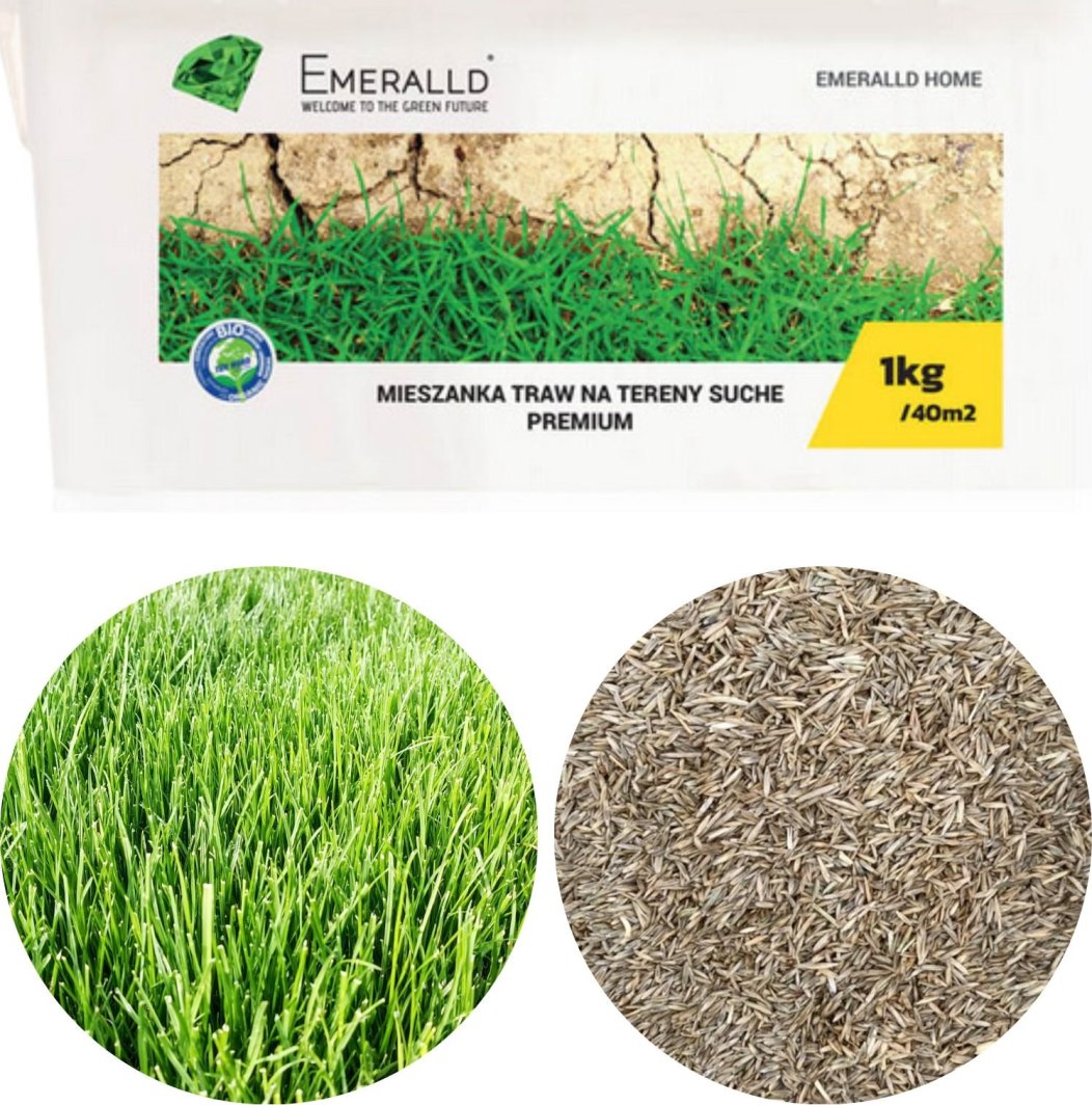 Mieszanka traw Emeralld na tereny suche 1kg 1