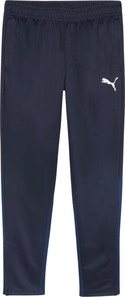 Spodnie męskie Puma Team Goal Training granatowe 658639 06 S 1