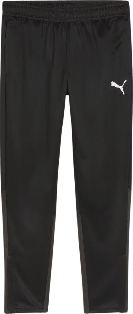 Spodnie męskie Puma Team Goal Training czarne 658639 03 L 1
