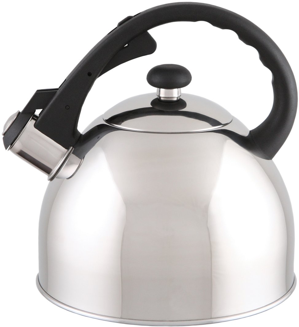 Kettle with whistle DOMOTTI PONTI, 1.5 L 1