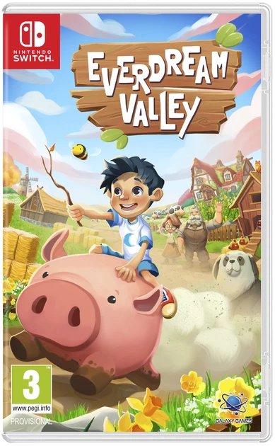 EVERDREAM VALLEY SWITCH 1