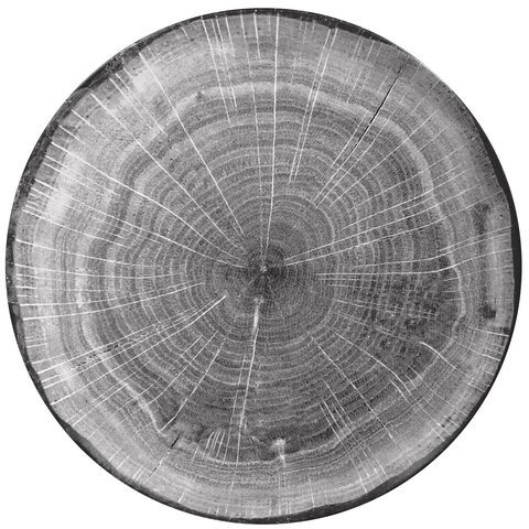 Woodart talerz płaski szary 24 cm 1