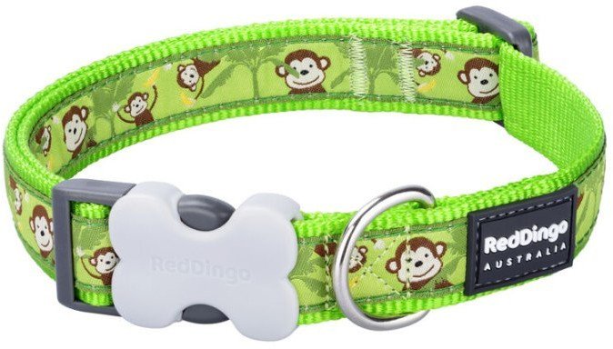 Obroża dla psa Red Dingo STYLE MONKEY LIME GREEN 15 mm x 24-36 cm 1