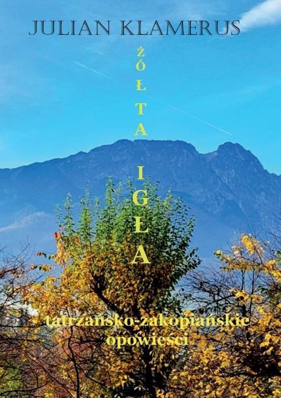 Nadwyraz.com Zółta igła