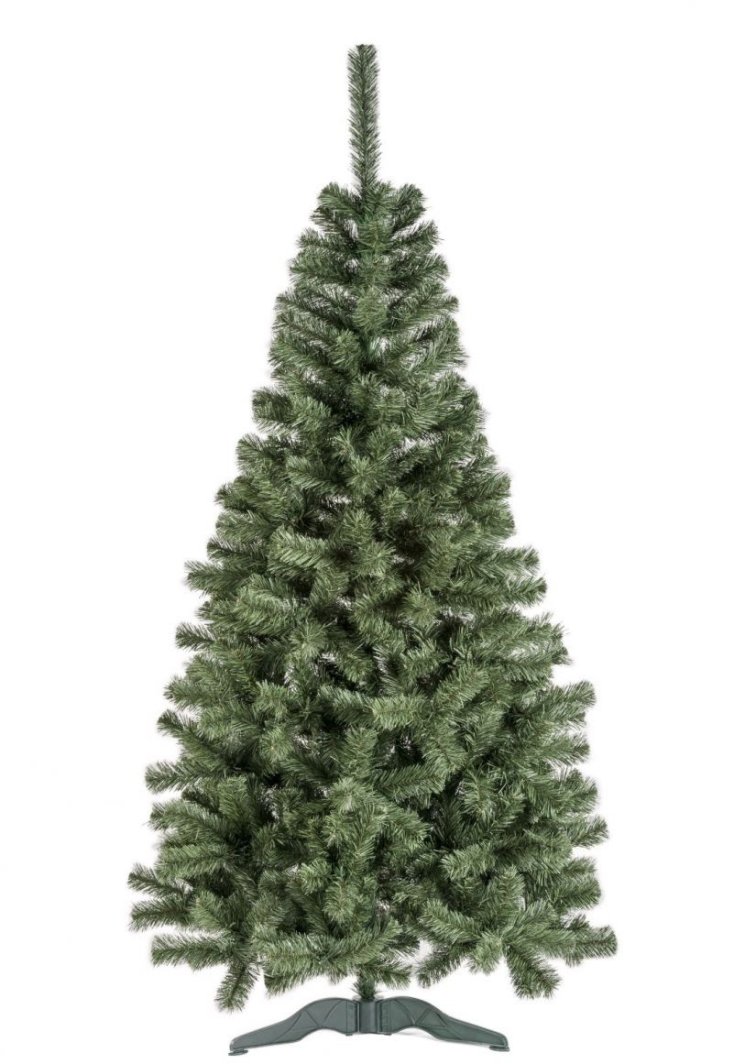 Dirbt. eglutė Lena 1.80m sonic 1