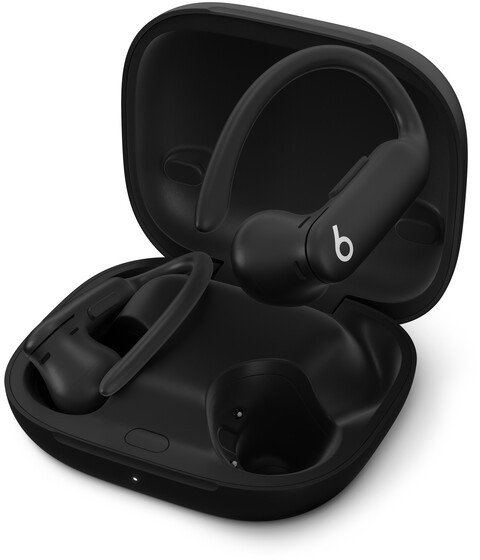 Beats Beats Powerbeats Pro 2 True Wireless Earbuds, Storm
