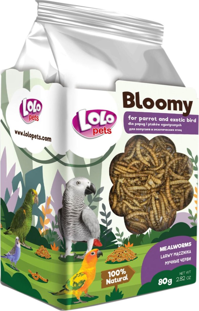 Bloomy Mealworm larvae for parrots and exotic birds 80g 1