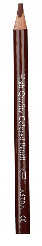 Kredka Jumbo ołówkowa brązowa (24szt) ASTRA 1