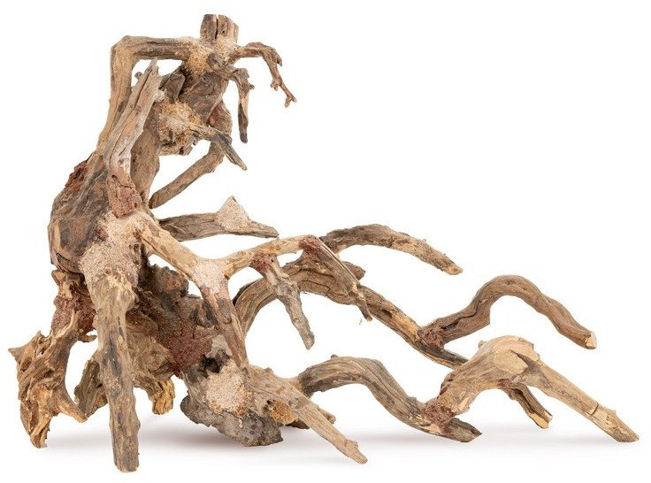 Ton�ce drzewo Bonsai nr 64 75x45 1