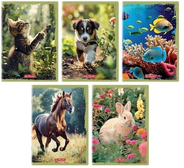 Zeszyt A5/16K gładki Animals (20szt) 1