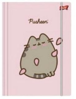 Teczka z gumką A4 Pusheen pink 1