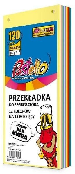 Przekładka do segregatora 1/3 A4 120K 12 kolorów 1