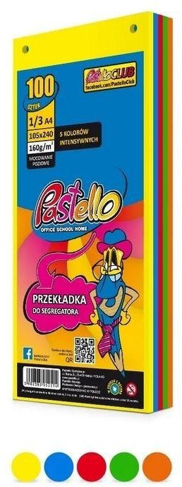 Przekładka do segregatora 1/3 A4 100K 5 kolorów 1