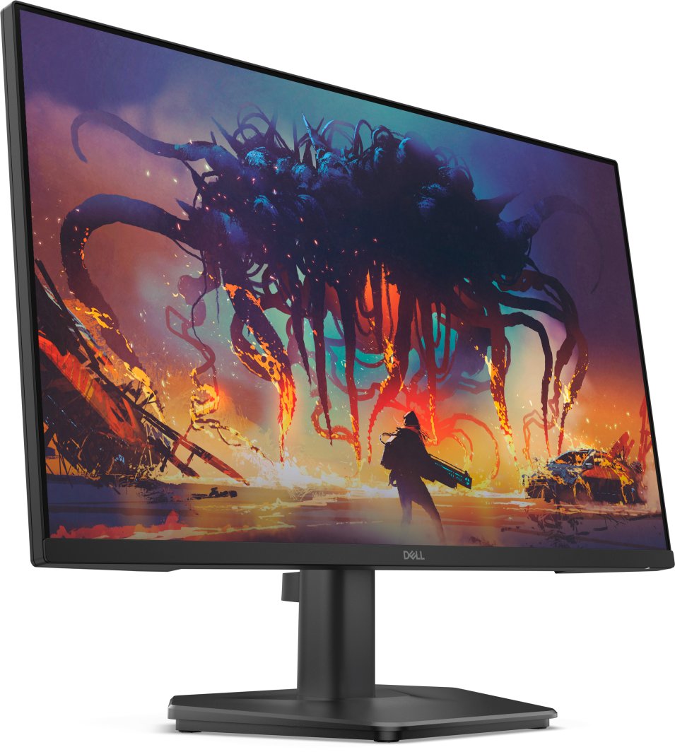 Monitor Dell SE2425HG (210-BSNR) 1
