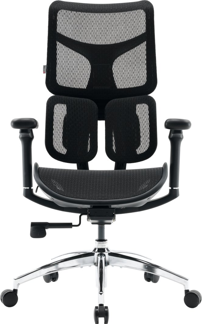 Fotel gamingowy Sihoo DORO S100  Mesh Black 1