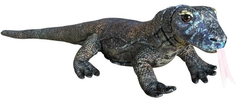 Dubi Waran z Komodo 70cm 1