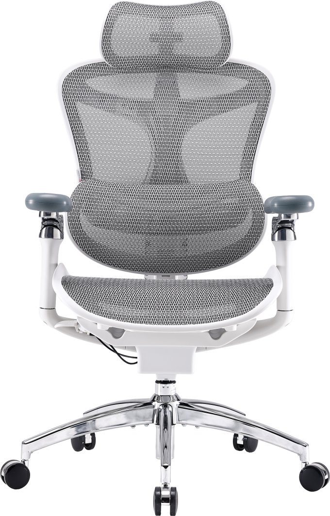 Fotel biurowy Sihoo DORO C300 Pro Mesh White 1