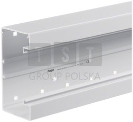 BRP6513019016 Podstawa kanału PVC 65x130x2000mm tehalit.BRP biały BRP6513019016 /2m/ 1