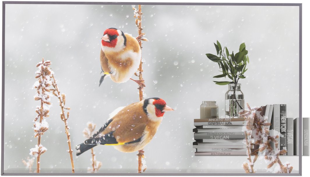 LG OLED Signage | 55EW5P-M | 55 " | Landscape/Portrait | 18/7 | webOS | 600 cd/m² | 8 ms | 178 ° | 178 ° 1