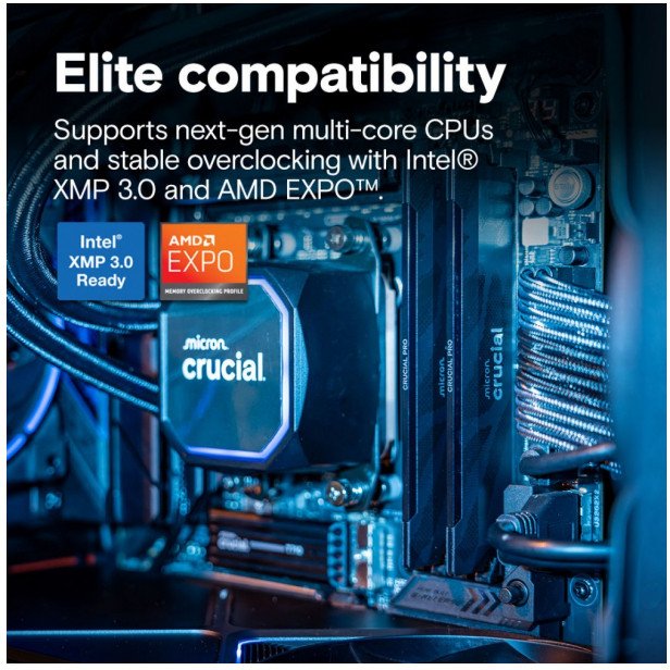 Pamięć Crucial Pamięć DDR5 Pro OC 16/6400(1*16GB) CL32
