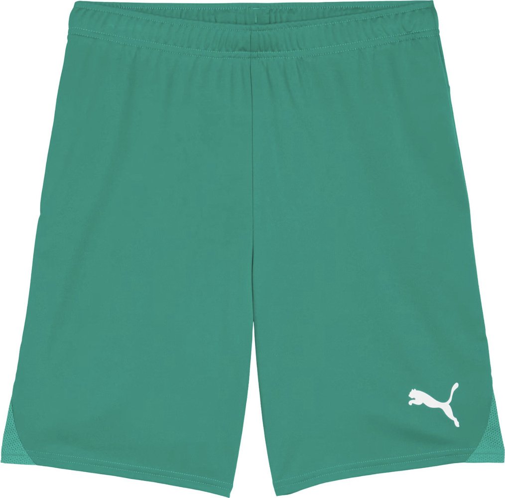 Puma Spodenki męskie Team Goal zielone 705752 05 M 1