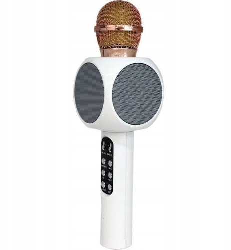 WS-1816 16W karaoke BT microphone with LED 360 White