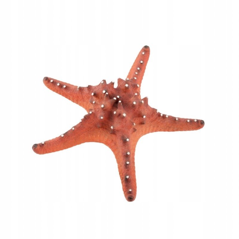 Terra Natura Dekoracja akwarystyczna duża czerwona rozgwiazda 22cm