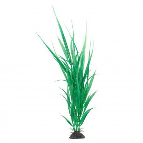 Terra Natura Aqua Natura, roślina, do dekoracji akwarium, zielona, plastikowa, 31 cm, dzika trawa