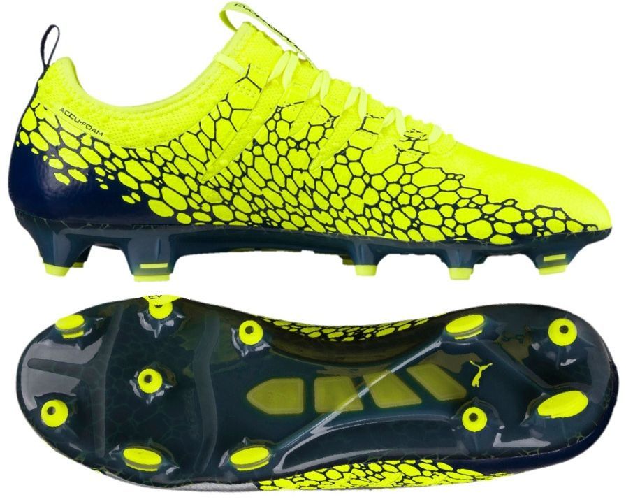evopower vigor 1 graphic fg