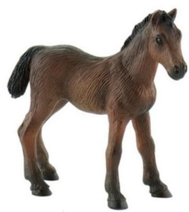 Figurka Bullyland Animal World - Źrebię rasy Westwalskiej (62721) 1