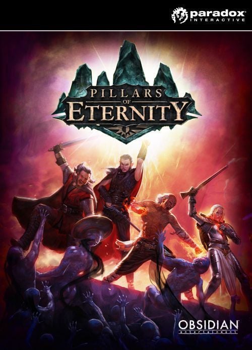  Pillars of Eternity - Hero Edition PC, wersja cyfrowa 1