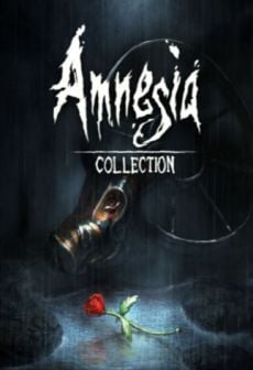 Amnesia Collection PC, wersja cyfrowa 1