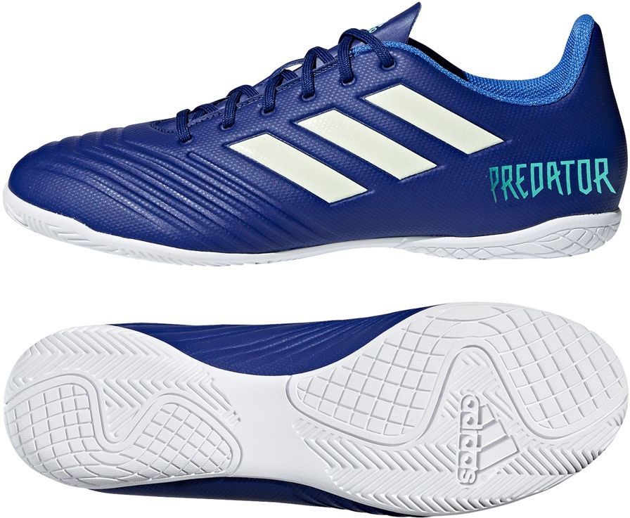 niebieskie predatory