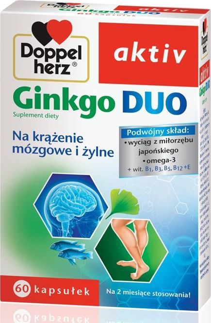 Queisser Doppelherz aktiv Ginkgo Duo na na krąż.móz 1