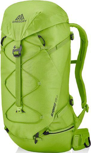 Plecak turystyczny Gregory Plecak turystyczny Alpinisto 28 LT M/L lichen green 1