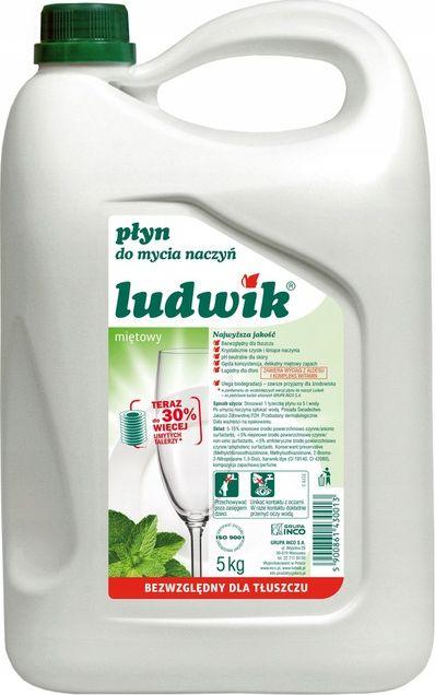 Staples LUDWIK Płyn do mycia naczyń 5l 1