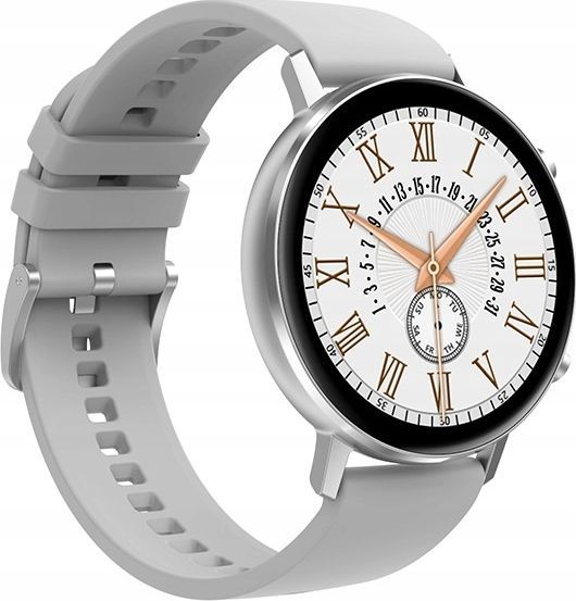 Smartwatch Zaxer DT96 Szary 1