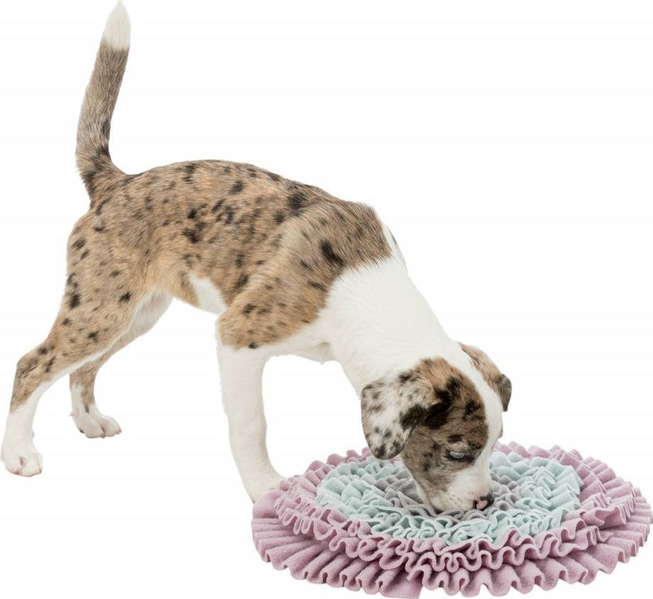 Trixie Gra mata węchowa dywan na przysmaki dla psa Trixie uniwersalny 1
