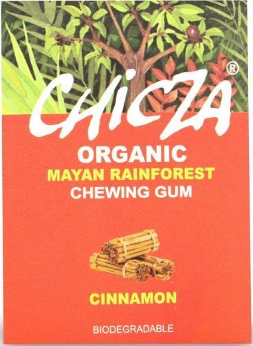 Chicza GUMA DO ŻUCIA CYNAMON BIO 30 g - CHICZA 1