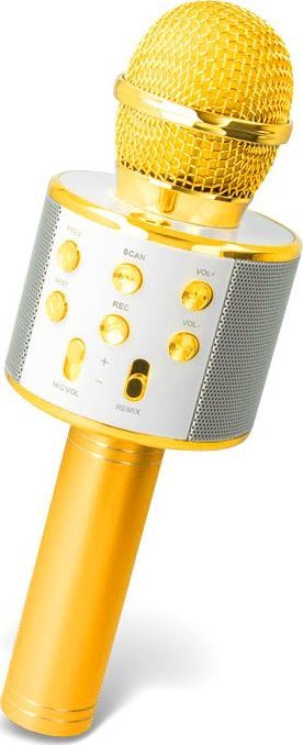 Mikrofon MaxLife  MX-300 1
